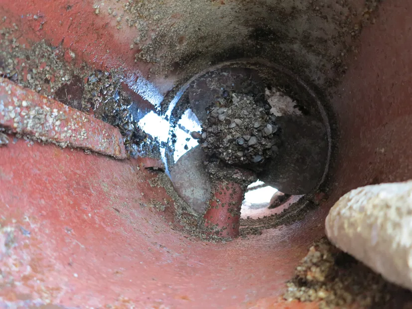 Image 6 of 6 - No plate