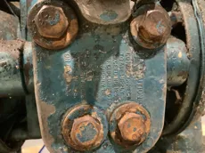 D817
