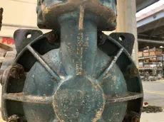D817