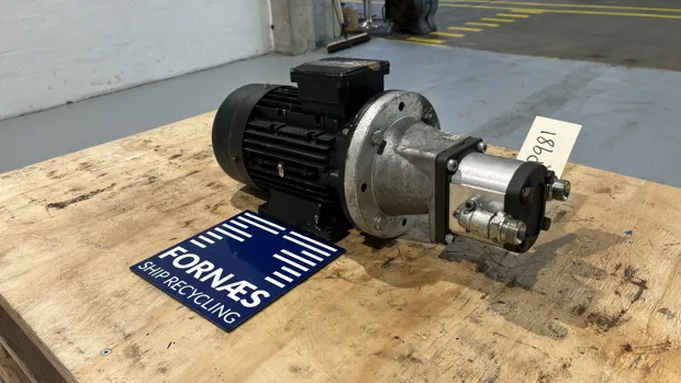 Image 7 of 10 - HP981