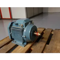 ABB - M2AA 132 SB