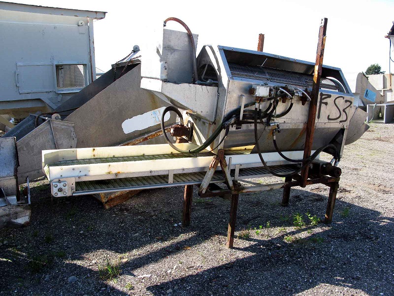 Fish sorting machine with conveyor