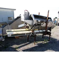 Fish sorting machine with conveyor