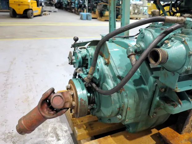 Image 3 of 3 - Masson - NFA