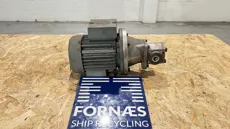HP1019