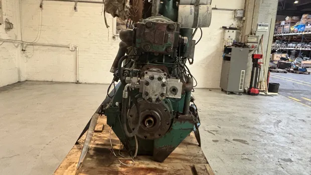 Image 4 of 5 - Hundested - CPG32