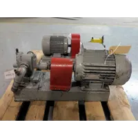 Delta Pump - 200-100 (Diesel transfer pump)