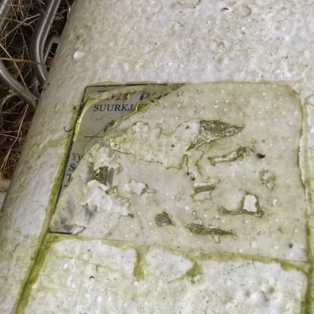 Image 9 of 9 - TMP - No plate