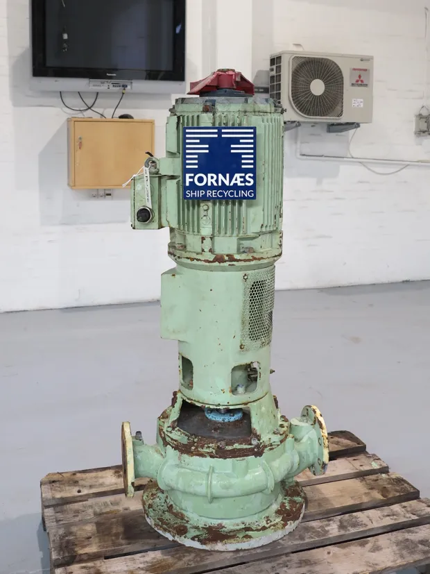 Image 1 of 6 - Iron Pump - CNLB 100-100/315