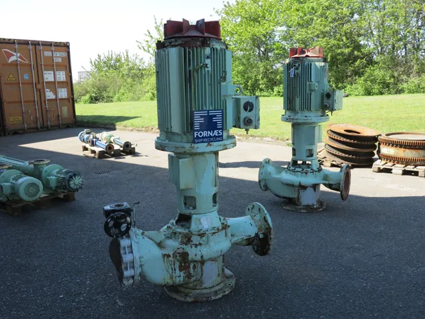 Image 3 of 5 - Iron Pump - CNLB 250-250/315