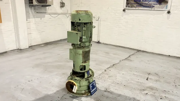 Image 2 of 8 - Iron Pump - CNLB 100-100/315