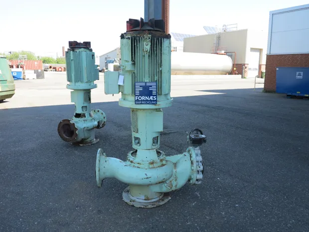 Image 2 of 5 - Iron Pump - CNLB 250-250/315