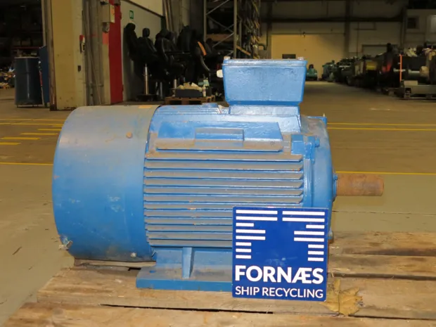 Image 2 of 5 - Bevi - 4D 200L-4