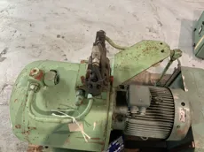 P63