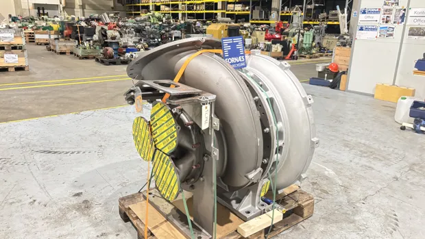 Image 8 of 11 - Napier - NA357