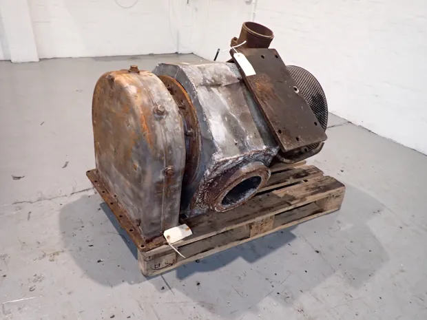 Image 4 of 5 - Man B&W - NR 20/R182