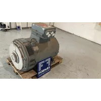 Schorch - BN7319L-PX61U-Z