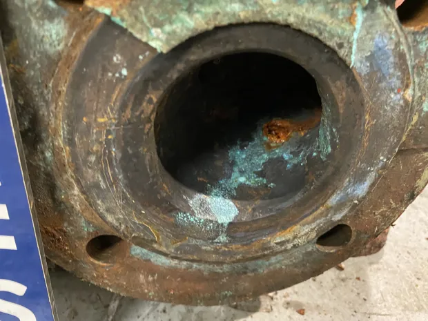 Image 5 of 7 - Svanehoej - NIP65A-TLBE