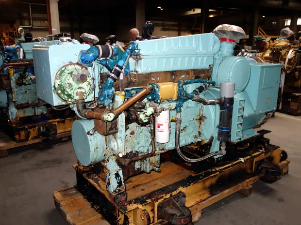 Image 1 of 4 - Caterpillar