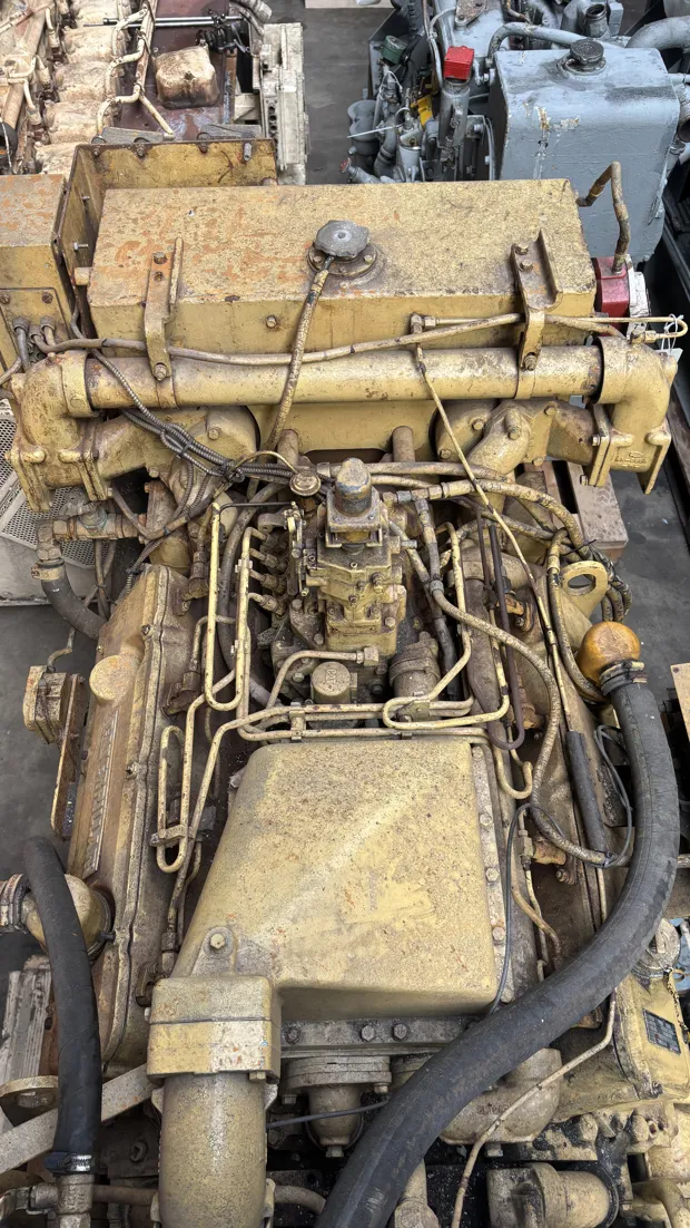 Image 10 of 10 - Caterpillar