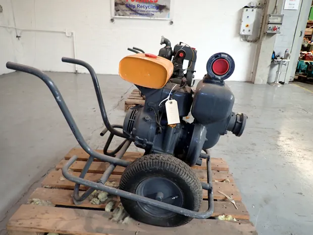 Image 1 of 4 - Falco