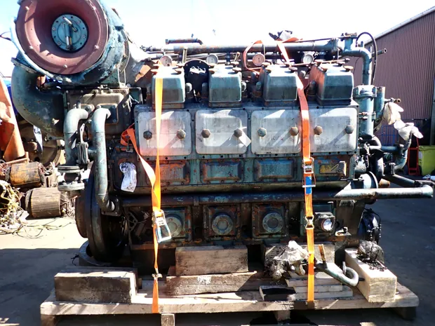 Image 6 of 6 - Alpha - 8V23LU