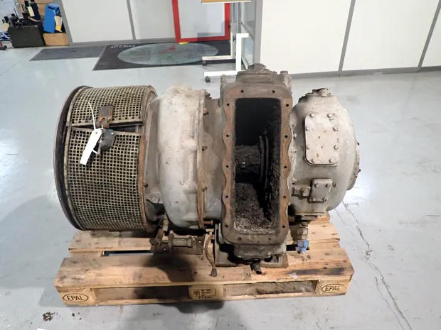 Image 2 of 6 - No plate - Just foto