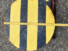 D833