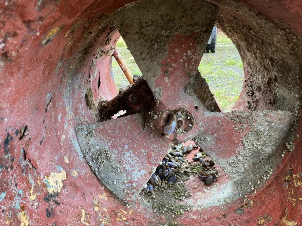 Image 5 of 5 - No plate