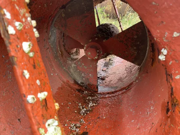 Image 5 of 5 - No plate