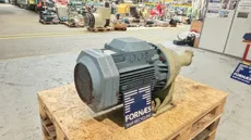 IMO - E4 038K1 LRBE