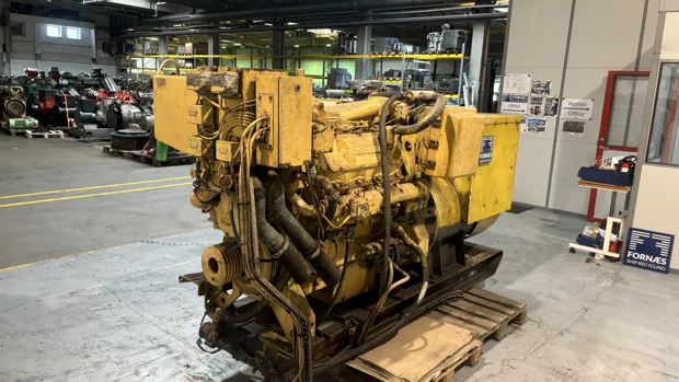 Image 5 of 10 - Caterpillar