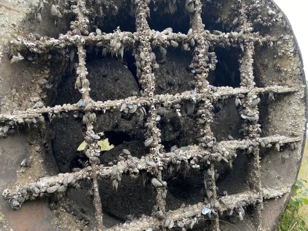 Image 8 of 8 - Kamewa Ulstein x 2 pcs - TT2000 VI CP