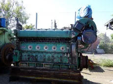 Normo Bergen - LDMB-6