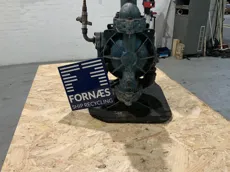 D817