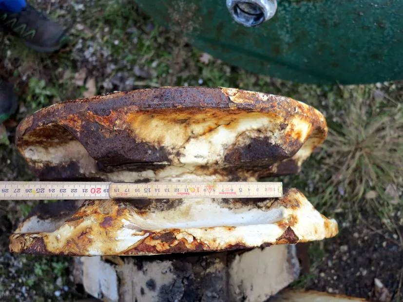 Image 4 of 5 - Anchor winch