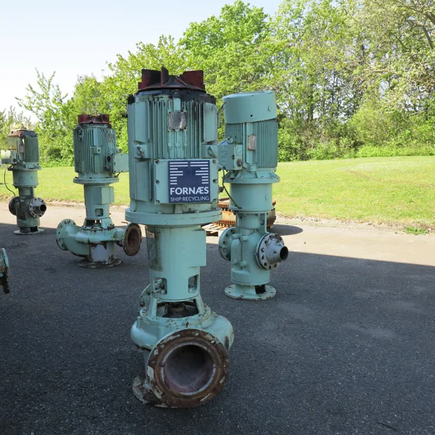 Image 2 of 6 - Iron Pump - CNLB 250-250/315