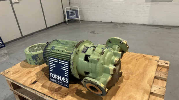 Image 3 of 8 - Desmi - PVLN105021-001