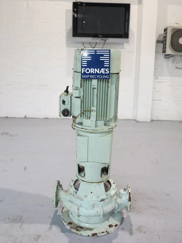 Image 1 of 6 - Iron Pump - CNLB 100-100/315
