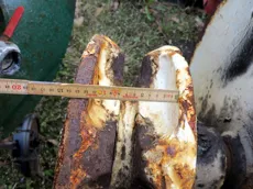 Anchor winch