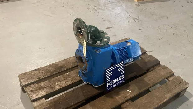 Image 4 of 7 - Johnson pump, SPXFlow - KGEF 14-8-A67, 20-024023