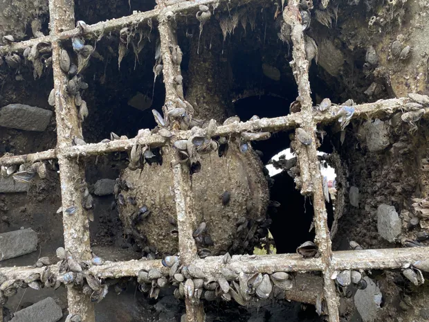 Image 7 of 8 - Kamewa Ulstein x 2 pcs - TT2000 VI CP