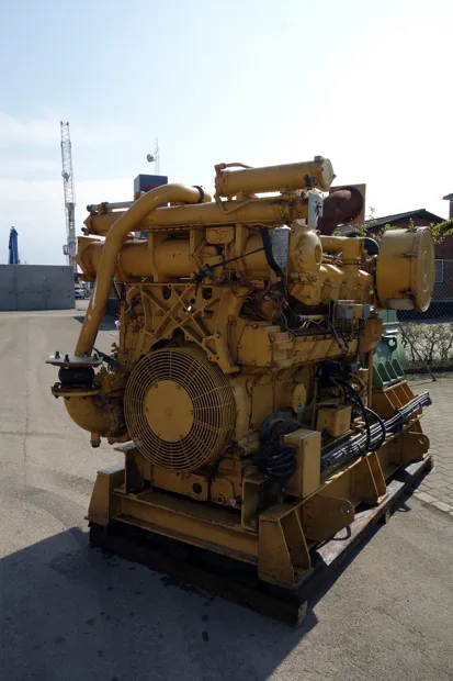 Image 3 of 7 - Caterpillar