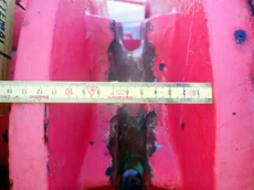 Anchor/mooring winch