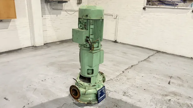 Image 3 of 8 - Iron Pump - CNLB 100-100/315