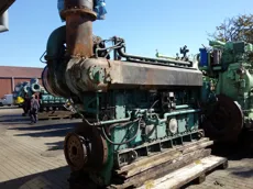 Normo Bergen - LDMB-6