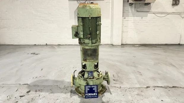 Image 1 of 8 - Iron Pump - CNLB 100-100/315