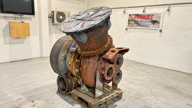 Image 5 of 8 - Napier  - NA357