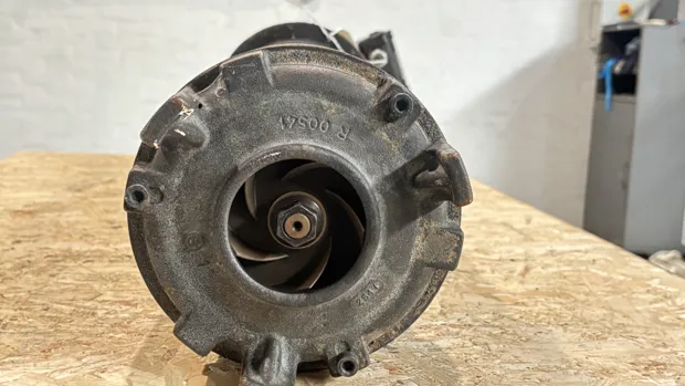 Image 7 of 8 - Brinkmann pumps - STA1302/840+001