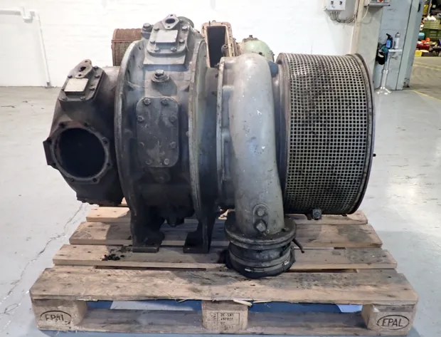 Image 5 of 6 - No plate - Just foto